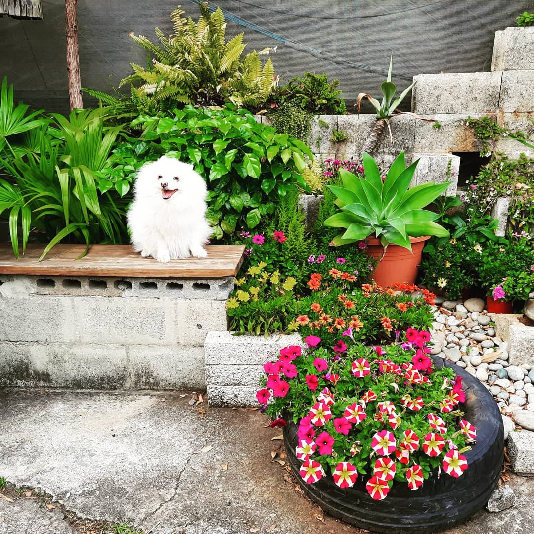 158898704_4115185138501103_1409803171263964623_n